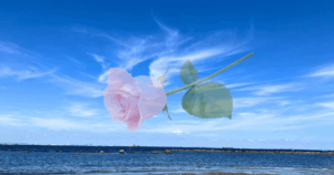 Japan’s purification ritual for karma healing and spiritual wellness
