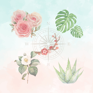 Flower and Water Background
